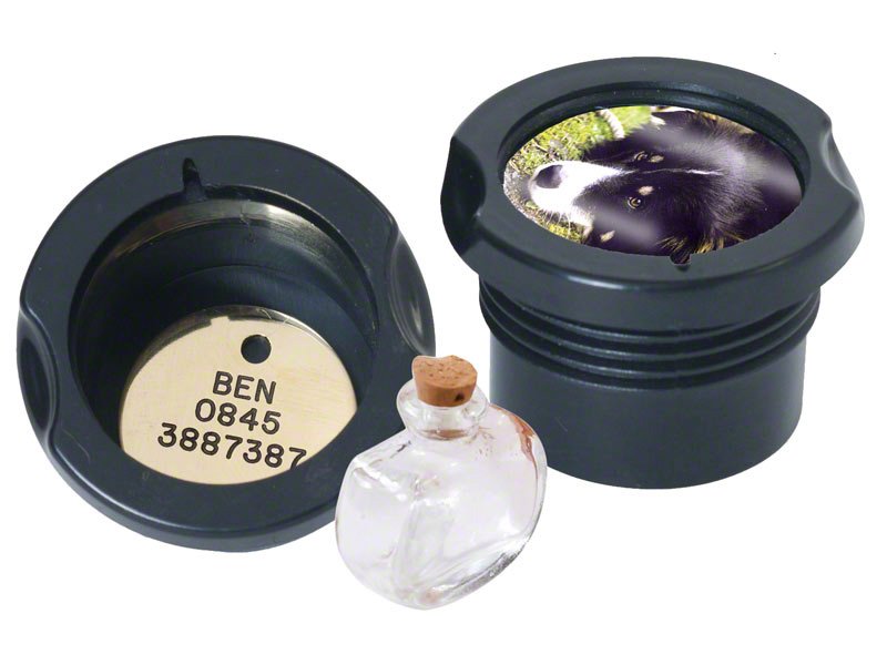 Information About The Memory Capsule
