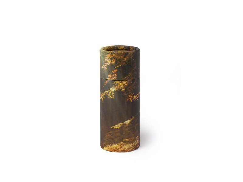 1_PETRIBUTES_SCATTER-TUBE_AUTUMN_STAU.jpg