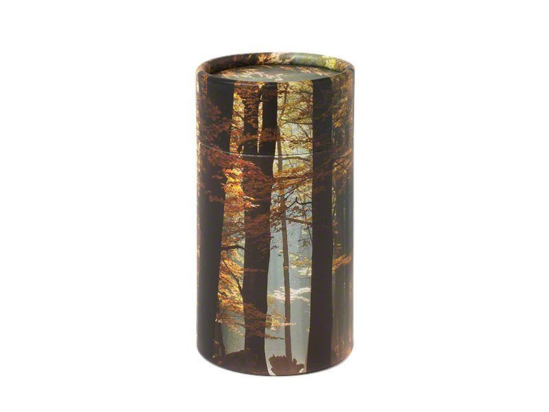 2_PETRIBUTES_SCATTER-TUBE_AUTUMN_STAU.jpg
