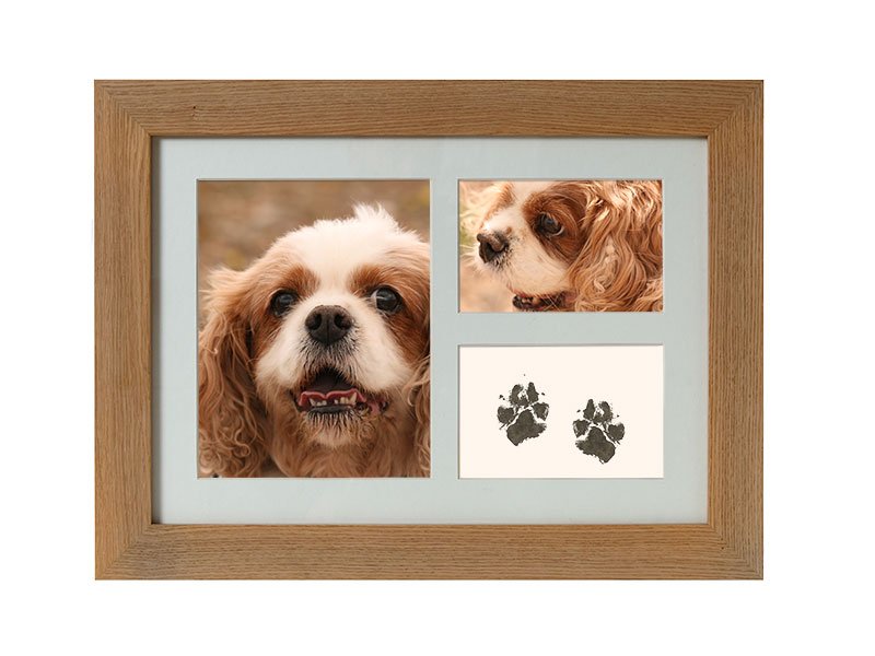 Tribute-Frame_inkless-wipe Pawprints taken with our Inkless Wipe kit can be displayed in a photo frame urn