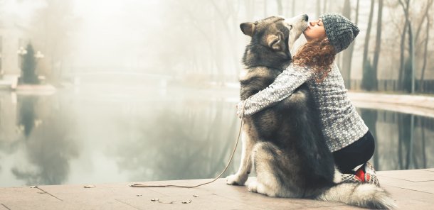 Girl and Husky resting by a lake after a walk.