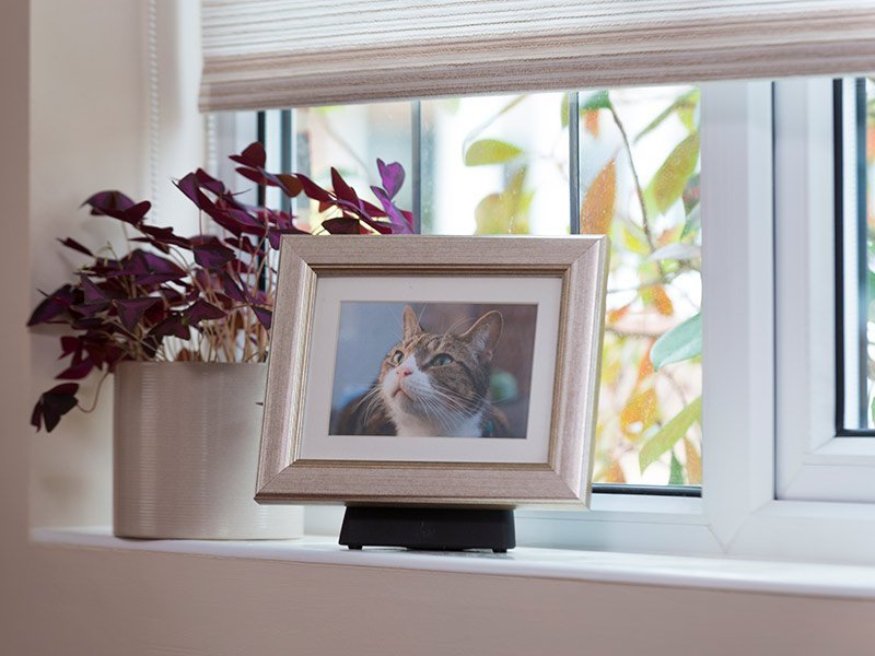 PETRIBUTES_POD_SILVER_PET