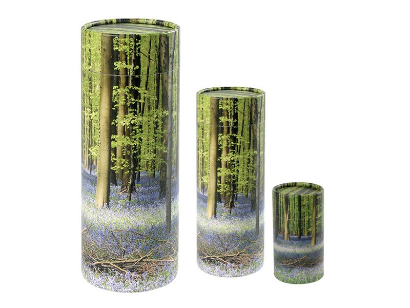 Scatter Tube Bluebell Design