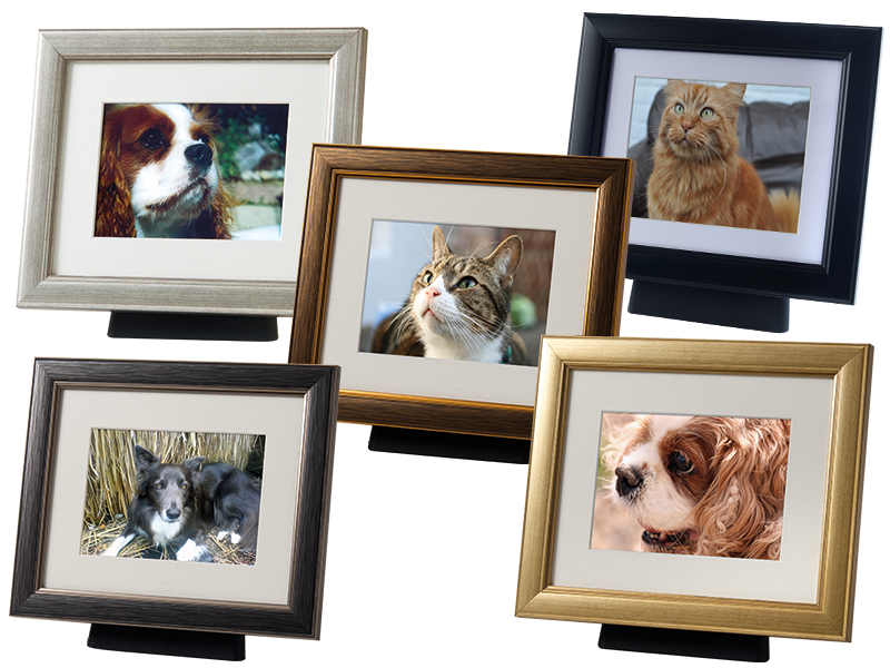 Tribute FramePod