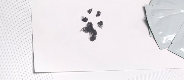Pet Urn Accessories