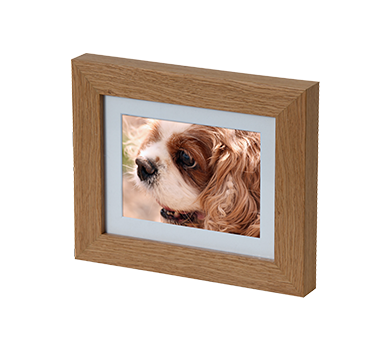Pet Photo Memorials